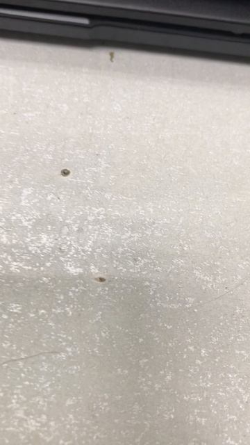 26-06-2025 смотреть онлайн