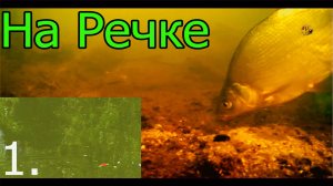 РЫБАЛКА на Речке с Боковым Кивком. Насадка: опарыш, хлеб. Fishing