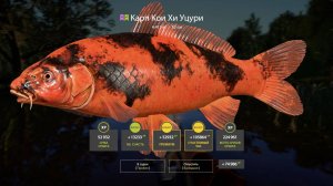 1000 + СЕРЕБРА НА ВЕДРЕ С КОИ НА МЕДНОМ ОЗЕРЕ В РУССКОЙ РЫБАЛКЕ 4 РР4