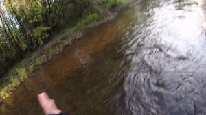 Рыбалка на горных реках Хабаровского края. ХИТРОСТИ И СЕКРЕТЫ ПО ПОИМКЕ ХАРИСА часть 3. ПРО УЛОВИСТЫ