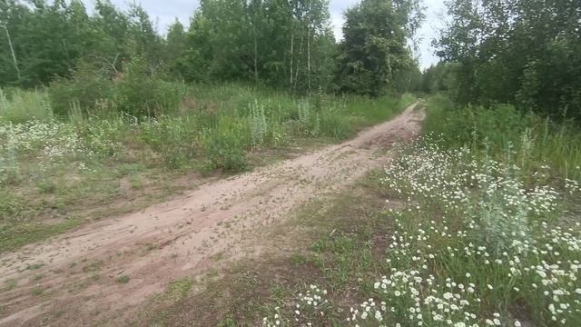 Рыбалка в Тольятти