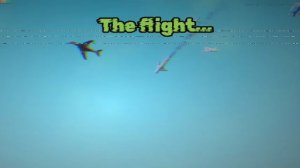 The flight