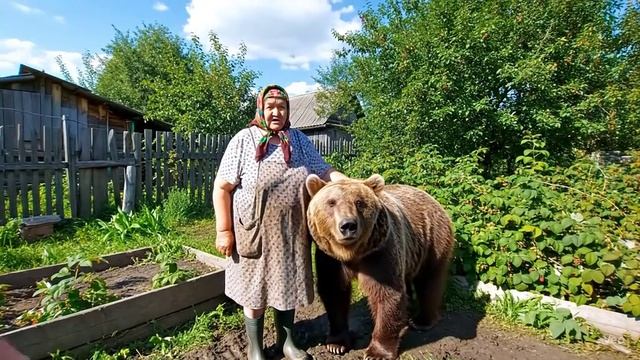 МИШКА смотреть онлайн