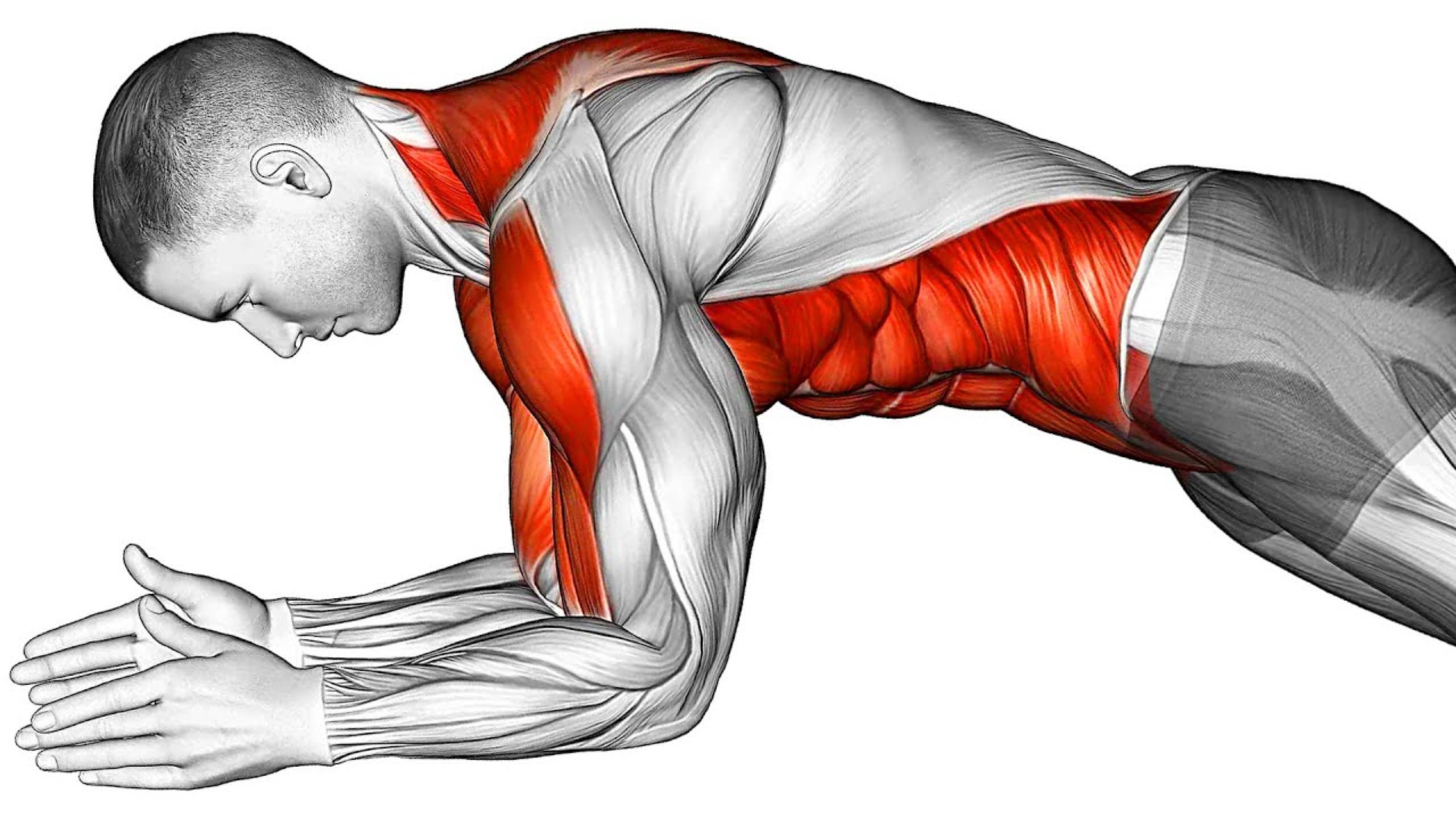 Выполняйте эти Упражнения для Пресса и получите Плоский Живот! смотреть онлайн