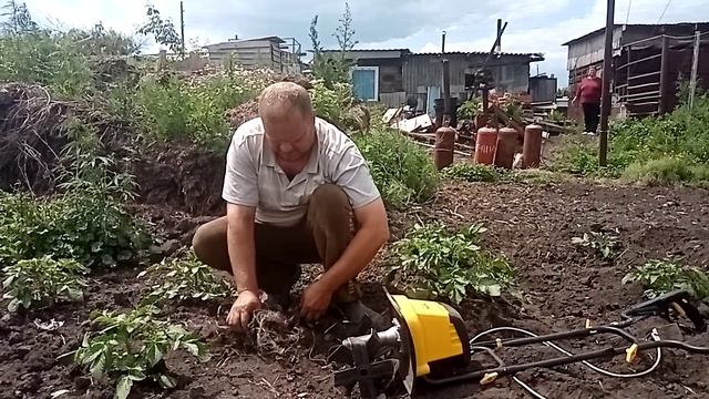 электро-культиватор прополка картошки быстро, качественно.