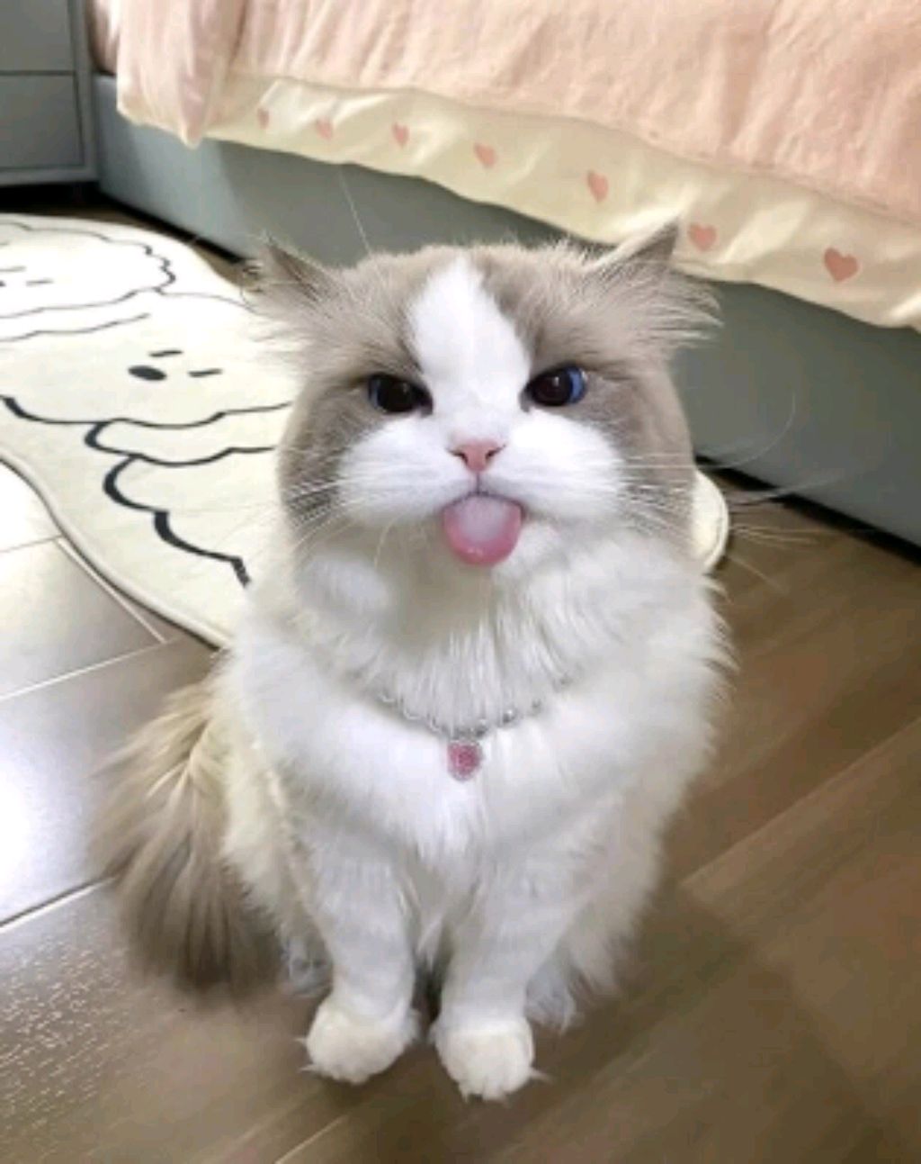 Чв смотреть онлайн