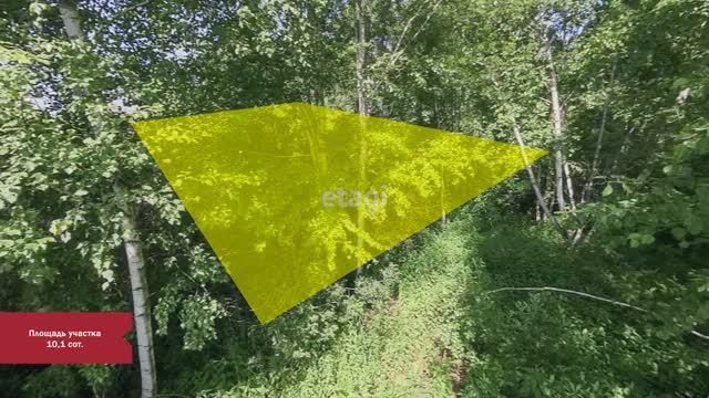 5 5802973 смотреть онлайн