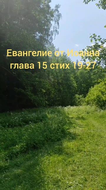 (65) Евангелие от Иоанна глава 15 стих 19-27 смотреть онлайн