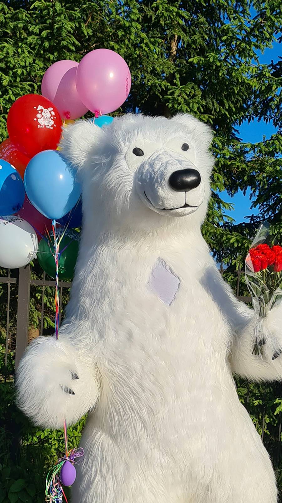 Оригинальные поздравления смотреть онлайн