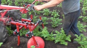 Картофельная страда продолжается.Борона и новый дисковый окучник с мотоблоком МТЗ в деле.