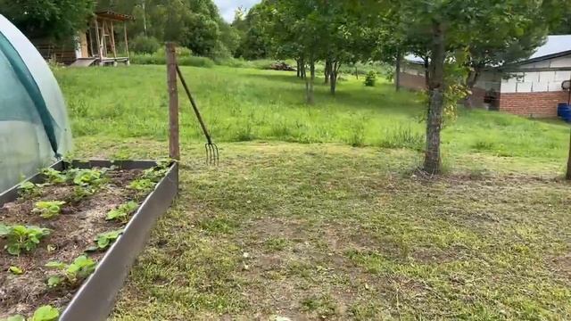 ВЕСЕЛОЕ ДЕТСТВО НА ЗАБРОШЕННОМ ХУТОРЕ! ЖИЗНЬ В ГЛУШИ ПОСЛЕ ПЕРЕРЫВА смотреть онлайн