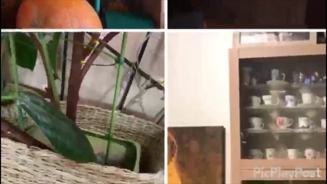 БУМАЖНАЯ ЛОЗА