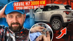 HAVAL H7 в сервисе: ЧТО ЗАЛИТО ВМЕСТО МАСЛА И ЧТО ДЕЛАТЬ?!