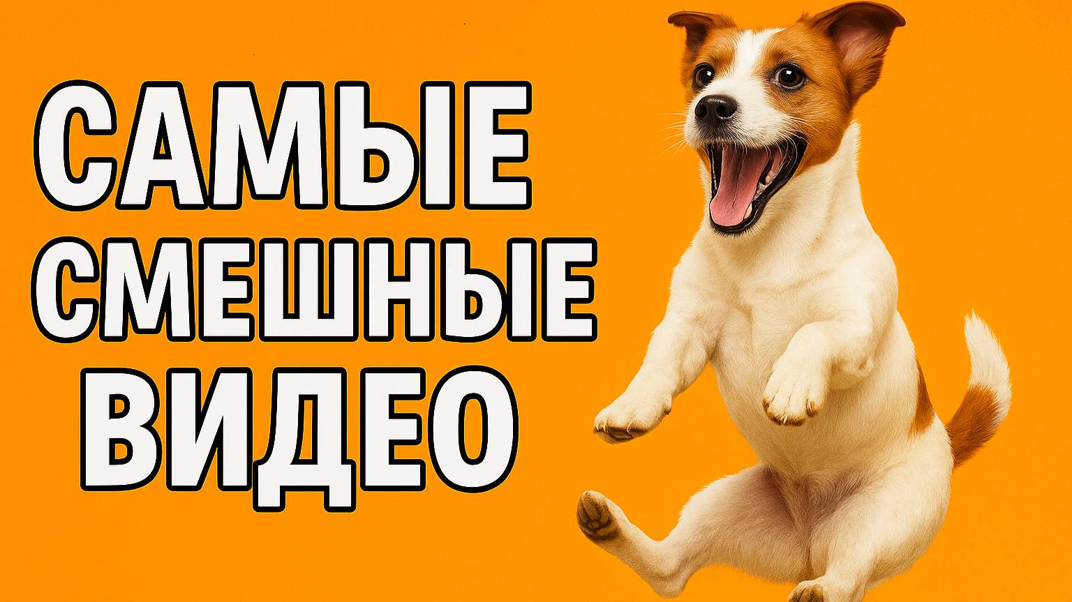 Смех до слёз: лучшие приколы №161 смотреть онлайн