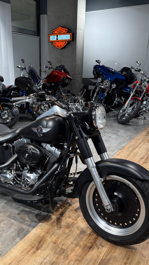 HD Fat Boy Black Matt