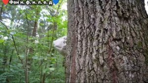 ꧁фуглер в реальной жизни ꧂ передали ляпота тв