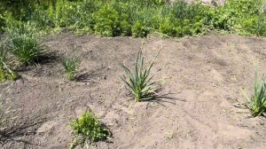 Ремонт в ванной своими руками, уборка огорода и просто поболтать))