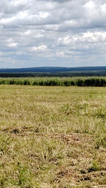 Горизонт 🔥