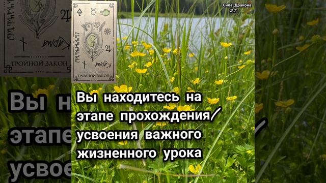 ‼️На каком этапе развития Вы находитесь❓️ смотреть онлайн