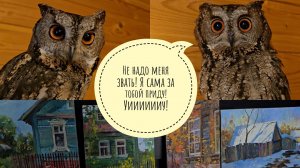 Новым совам увеличили порции еды,примерили имена. Распаковка ностальгии от художницы Елисаветы