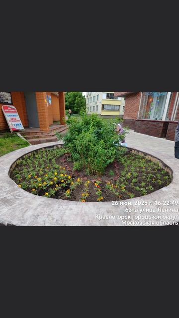 Ответ по клумбе от администрации города Красногорска смотреть онлайн