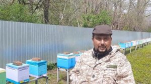 Самородок в Маткаводстве!!! Проверено Лично !!!