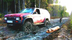 Оффроуд, разведка, конная тяга, металл!! Забрал старинные сани, Остатки от деревянной дороги!!!