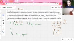 24.06 Занятие, задания по сцепленное наследование