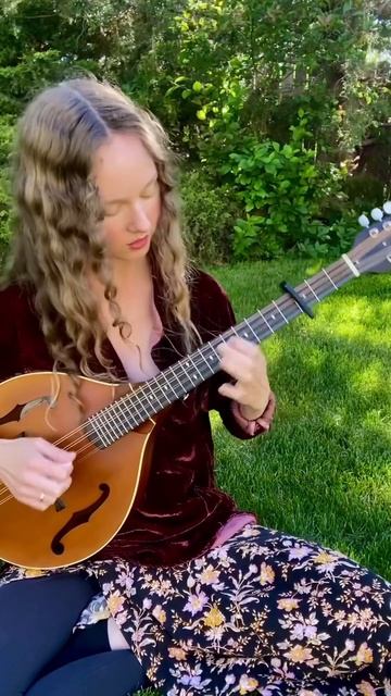 Прекрасные звуки на мандолине🎶 смотреть онлайн