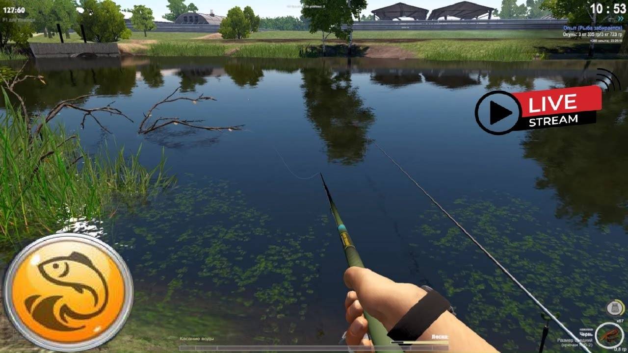 🐠Fisher online - стрим ЛОВЛЯ на ЖИВЦА смотреть онлайн