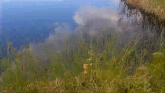 Карелия озеро Лай.