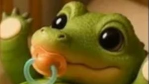 угадай итальянских МЕМ животных🙀