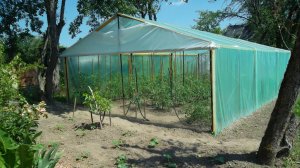 Установка уникальной широкой 4,6 м пленочной теплицы  Е. К.Скуратова от А до Я. Минимум материалов.