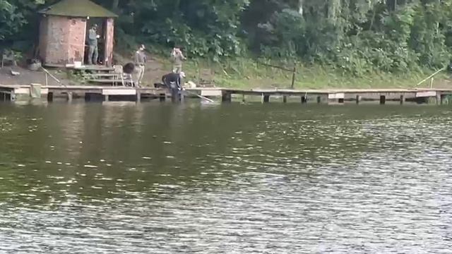 Поимка Карпа смотреть онлайн
