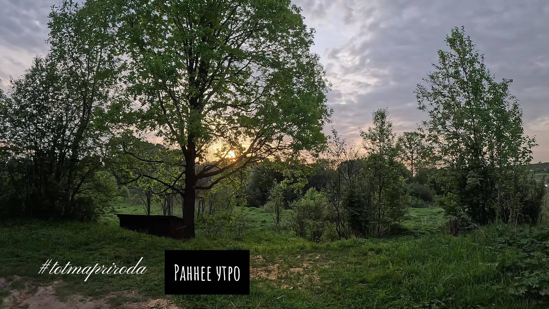 г. Тотьма раннее утро смотреть онлайн