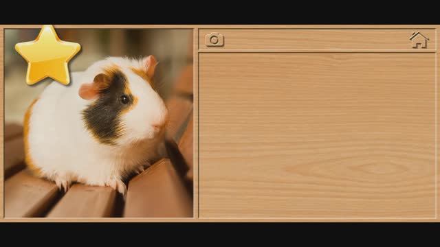 Мультфильмы для детей . Мультики для малышей. Пазлы.Детям, смотреть онлайн