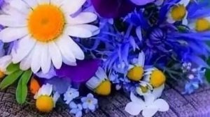 26-06-2025 Жизнь в деревне 🏡. После дождя и снова дождь ☔