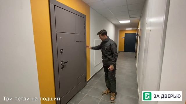 Обзор двери Стальной Стандарт S19 зеркало смотреть онлайн