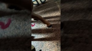 один день глазами лошади шляйх фигурки