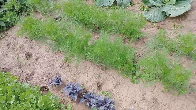 ЖИЗНЬ В ДЕРЕВНЕ/КАК ОНА ЕСТЬ