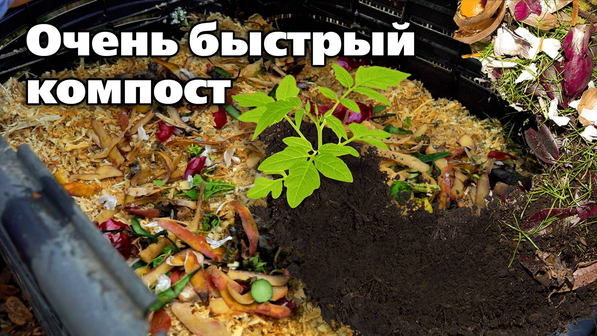 Получаем ценное удобрение. Ускоряем созревание компоста смотреть онлайн