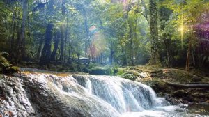 ✨️ИСЦЕЛЕНИЕ. УНИКАЛЬНАЯ МЕДИТАЦИЯ ДЖОЗЕФА МЕРФИ✨️