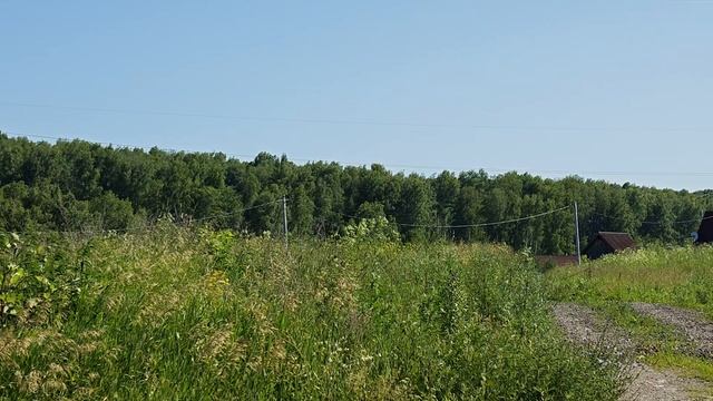 1000064669.mp4 смотреть онлайн