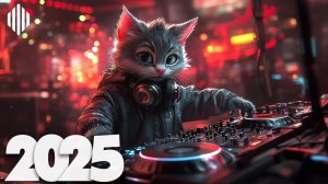 EDM Music Mix 2025🔥 🎧 Top New Hits & Pop Remixes🔥🎧 Слушать музыку онлайн