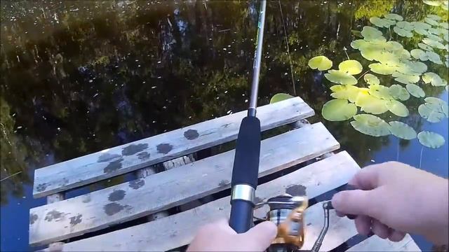 Рыбалка. Река у хутора  Карелия.