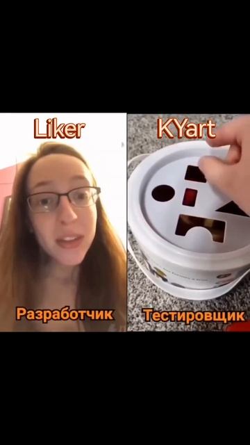 Разработчик и пользователи