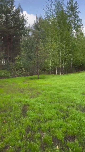 Домик в лесу / строительство загородного дома ROOF SERVICE