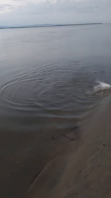 Очередной улов🐋🦈