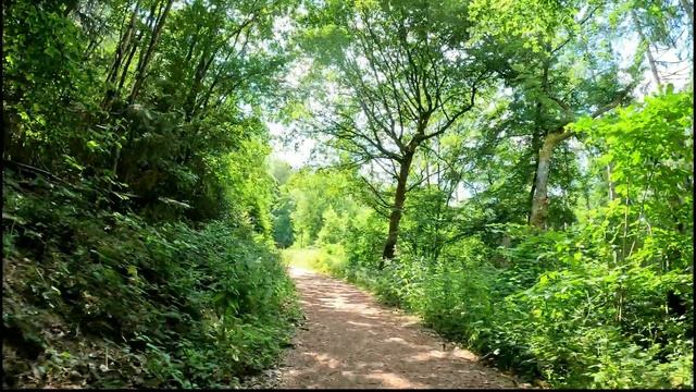 Видео для велотренажёра - Trifox Trail Bike Indoor Cycling Workout Germany Strava 4K Video