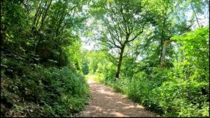 Видео для велотренажёра - Trifox Trail Bike Indoor Cycling Workout Germany Strava 4K Video